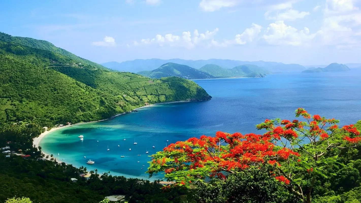 自动化高端高效